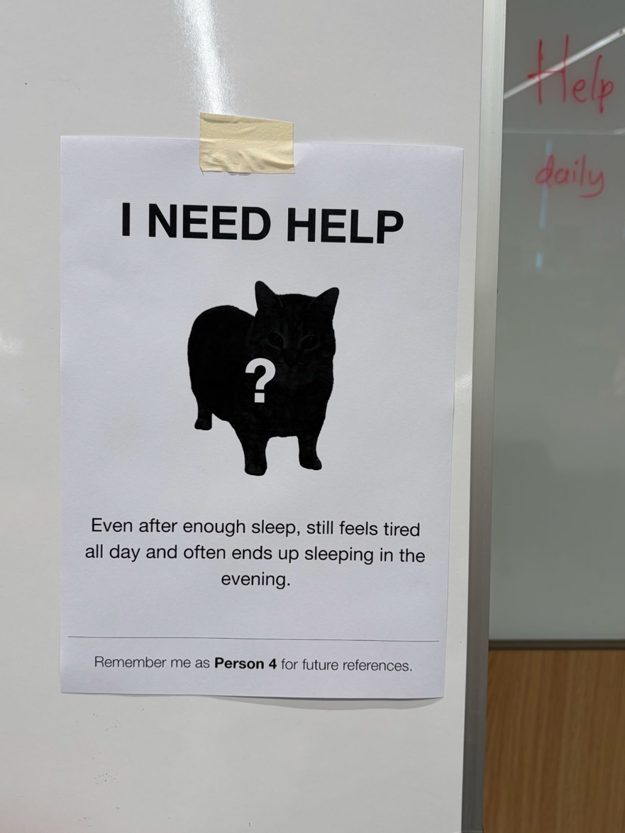 RUJAK User Research Synthesis